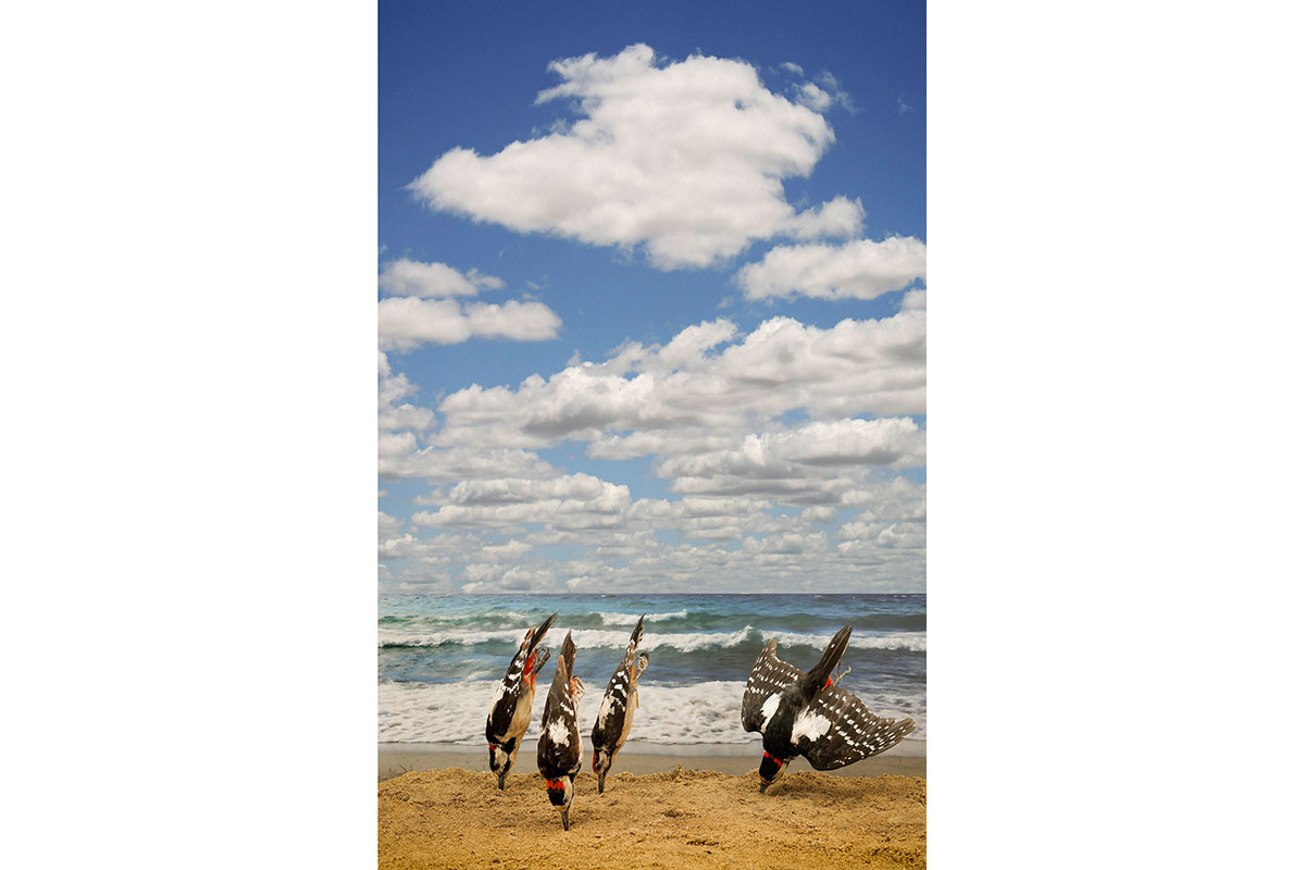 64_Jesolo_Spechte-am-Strand