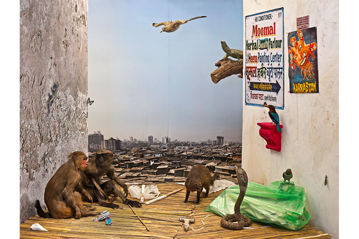 84_Mumbai_Klein-2