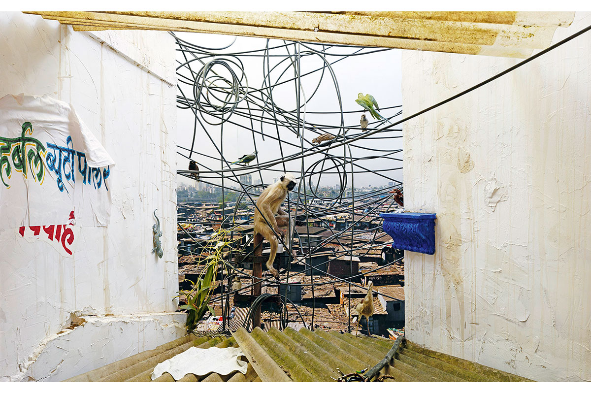 85_Mumbai_NHM