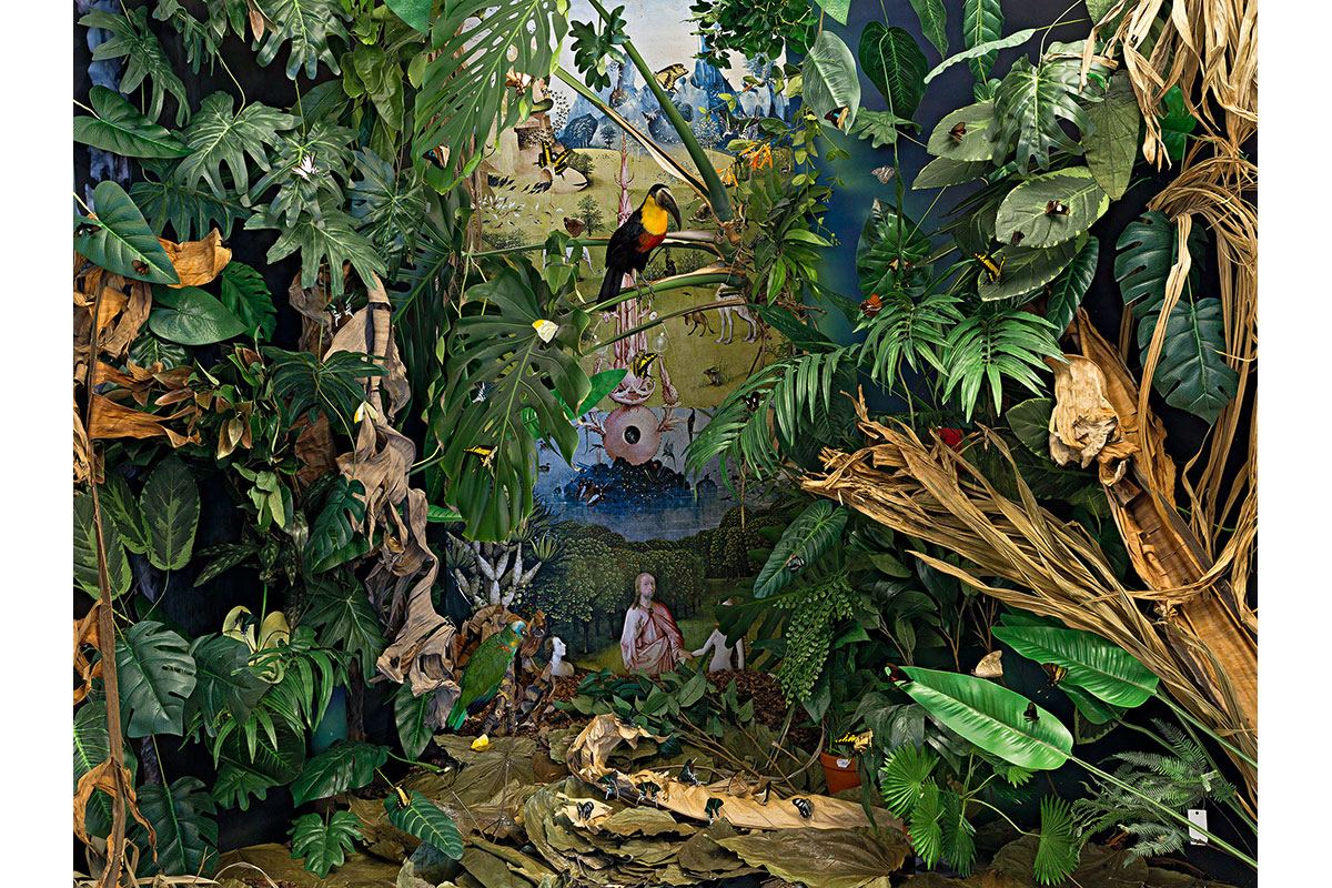 86_Schmetterlinge_Bosch