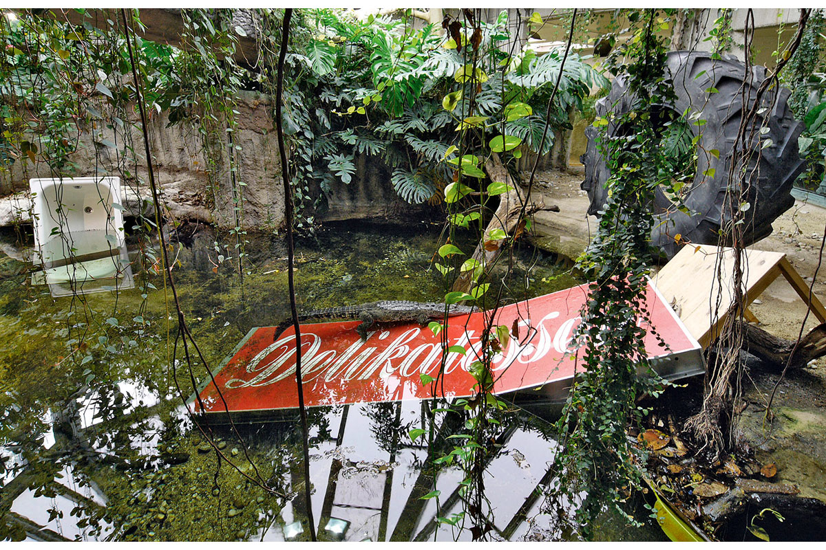 TRIP_Presse_Kroko