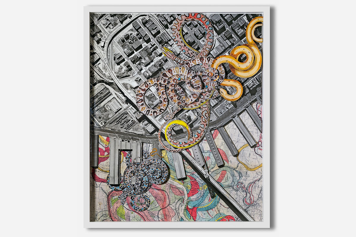 SDH_SF2_DSC0273_web
