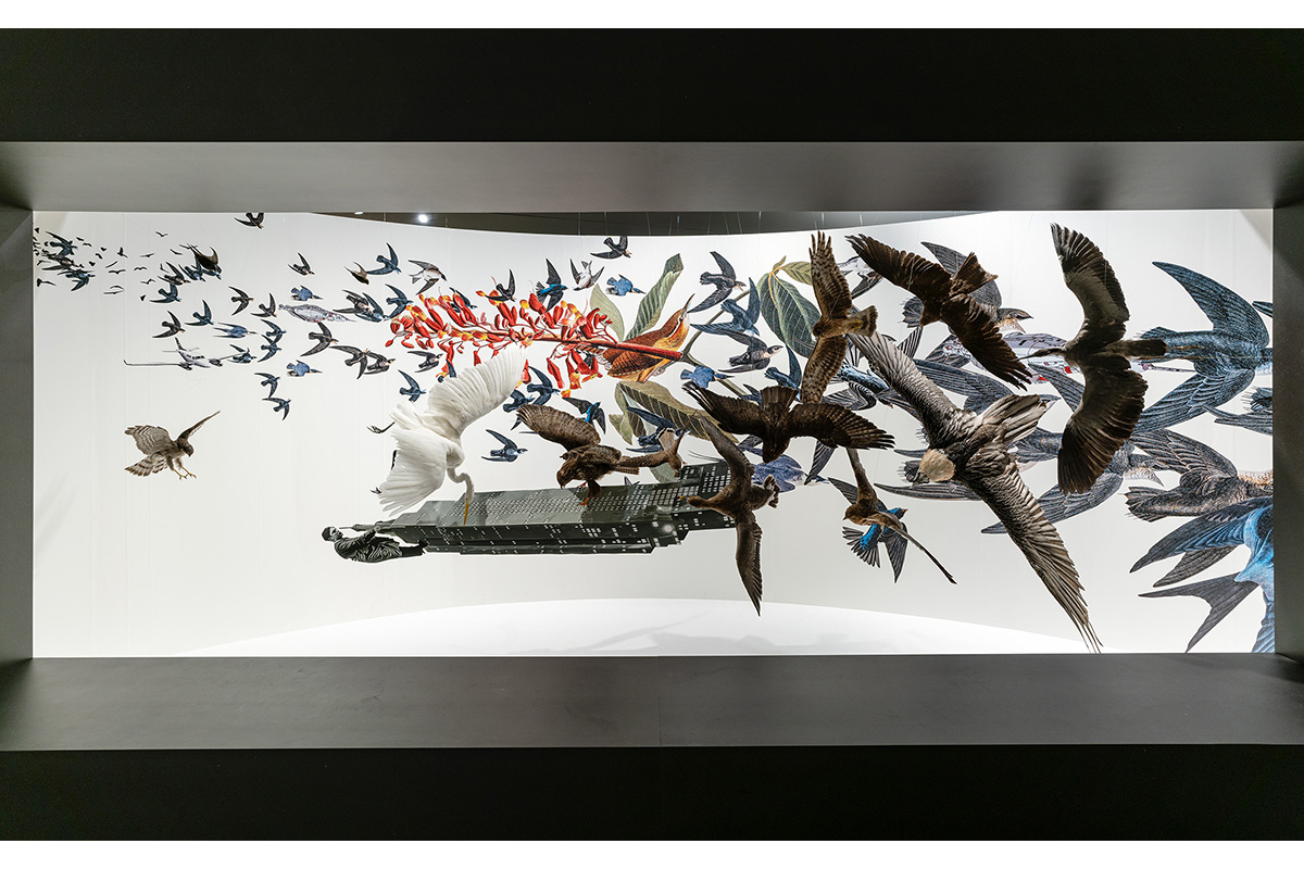Carousel 3